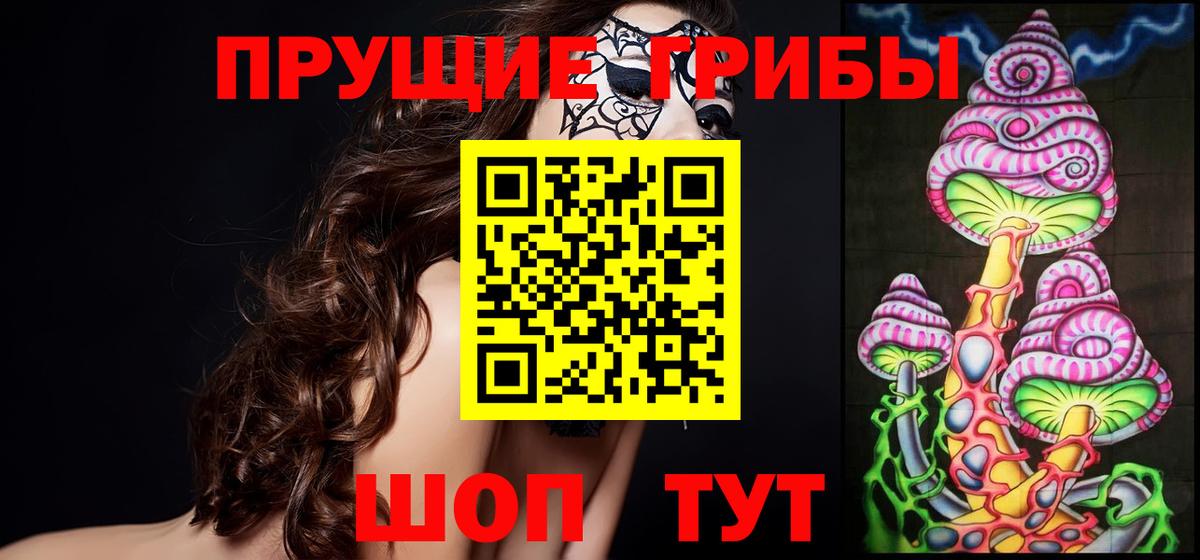 Псилоцибиновые грибы Psilocybe Ахтубинск