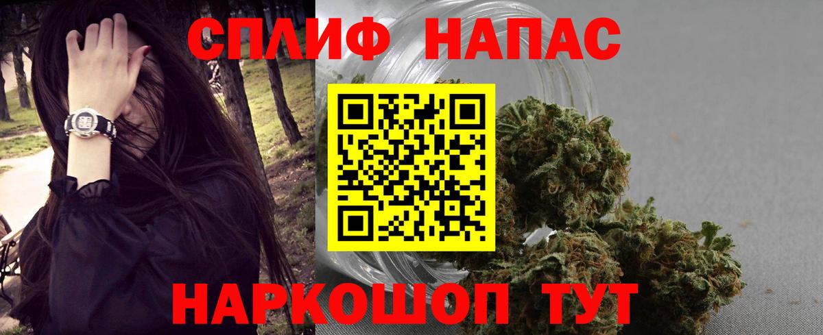 Бошки марихуана семена Ахтубинск